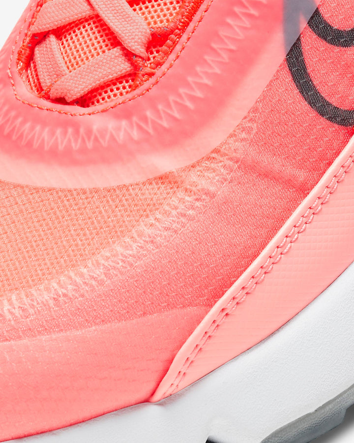 Nike Air Max 2090 Sneakers in Pink CT7698-600
