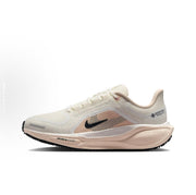 Nike Pegasus 41 GORE-TEX Running Shoes FQ1357-100
