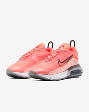 Nike Air Max 2090 Sneakers in Pink CT7698-600