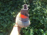 Yeezy 350 V2 Gray and Orange Knit Sneakers